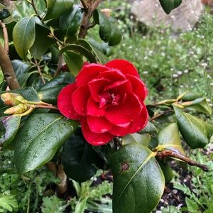 Meet your Posher, Kelsey Ann